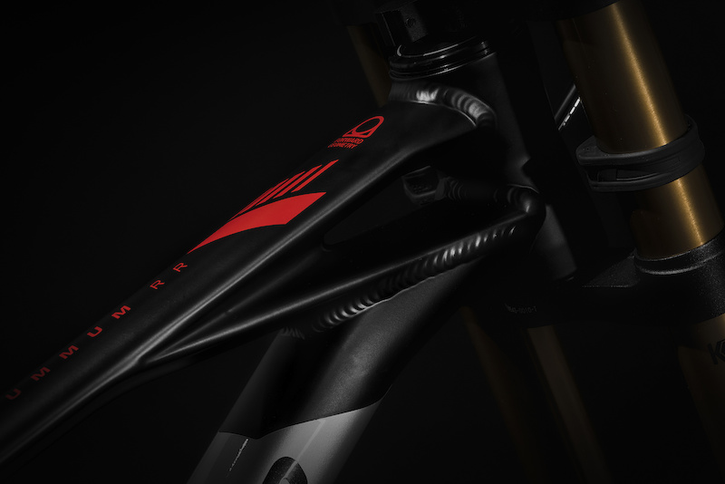 2021 Summum Downhill Bike 