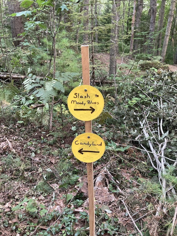 River Run Mountain Biking Trail Gorham, Maine