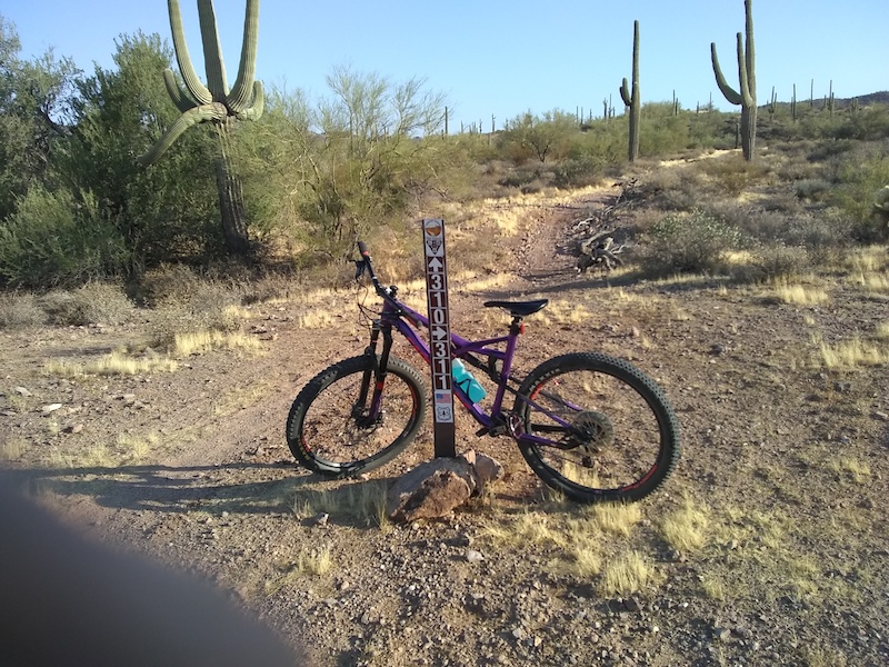 Goldfield Fever Multi Trail Apache Junction, Arizona