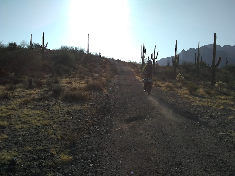 Just Jack Multi Trail Apache Junction, Arizona