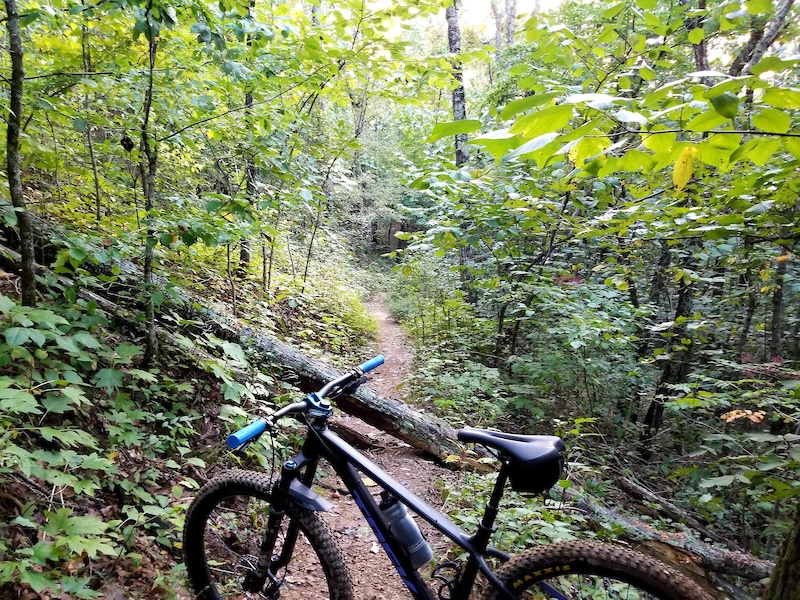 Urban bike best sale trails near me