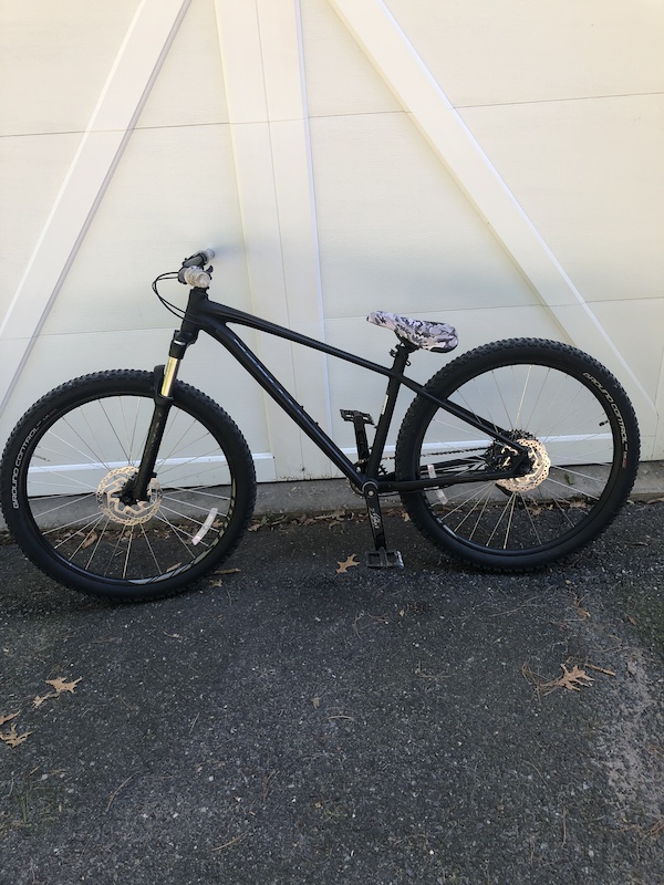 2020 specialized pitch expert 1x