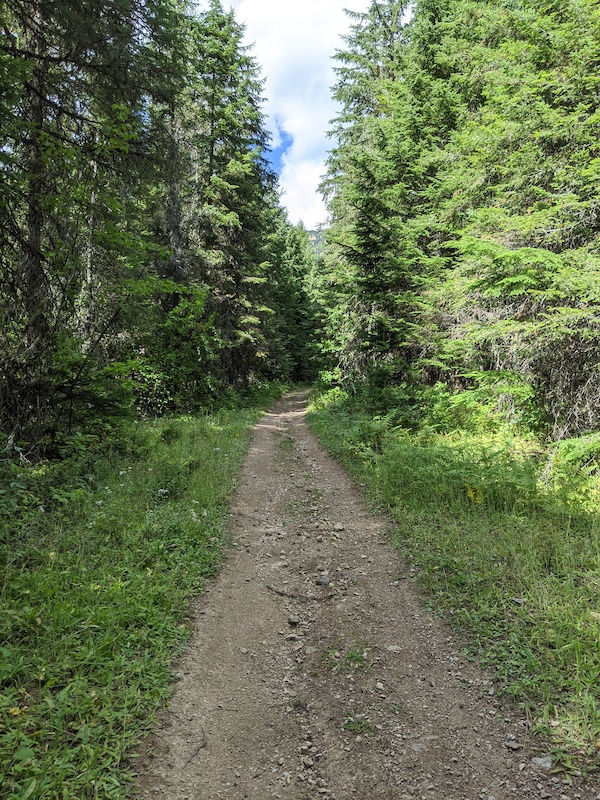 AccessTroad Mountain Biking Trail Bigfork, Montana