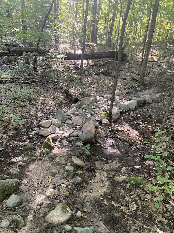 Patsy Lake Patsy Lake Trail Mountain Biking Trail - Cable, WI