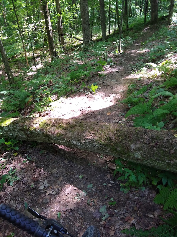 Mesa Trail Mountain Biking Trail Ellicottville, NY