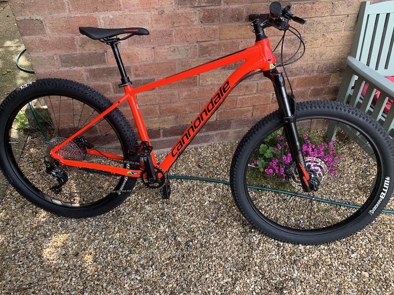 cannondale cujo 3 2019 review