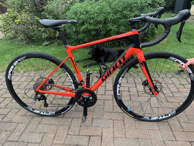 giant defy advanced 2017