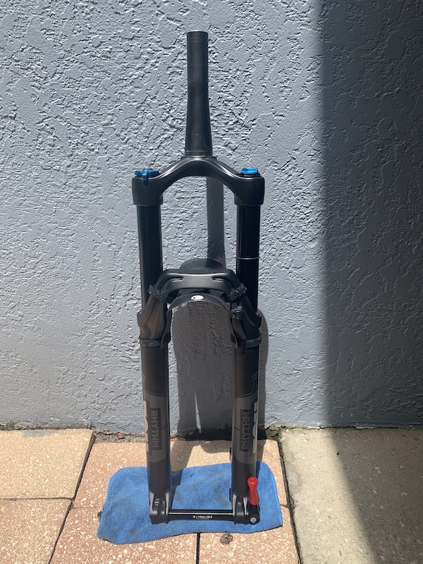 funny bike helmets for adults