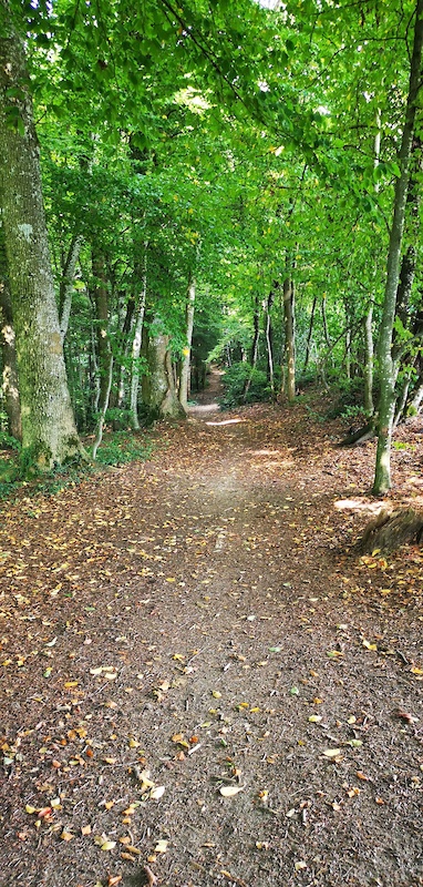 boler mountain bike trails