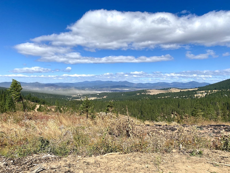Porter Rd logging Trail Mountain Biking Trail Liberty Lake