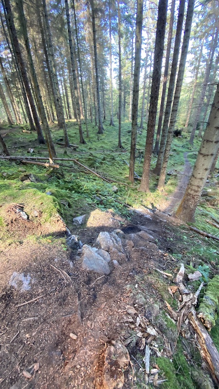 Squamish AB Mountain Biking Trail - Scolty, Banchory