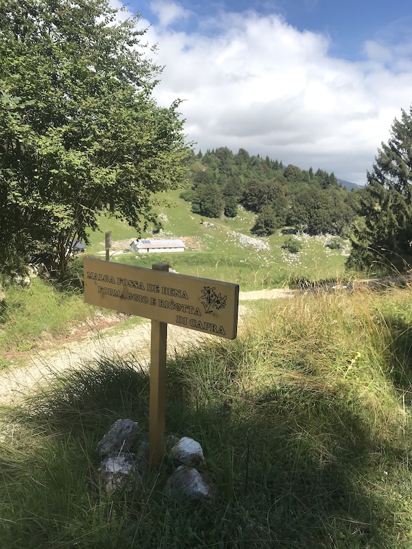 www.trailforks.com