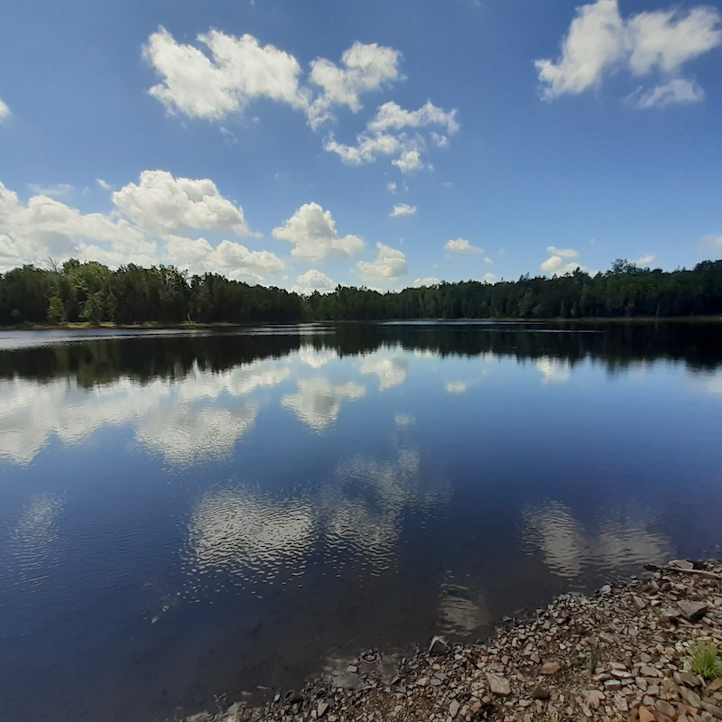 Wolfville Watershed Nature Preserve, Wolfville Hiking Trails | Trailforks