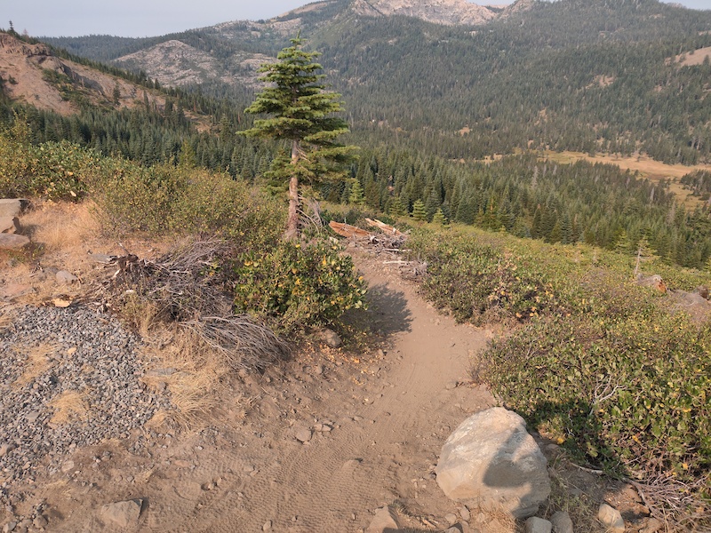 Mother Lode (Middle) Mountain Biking Trail - Truckee