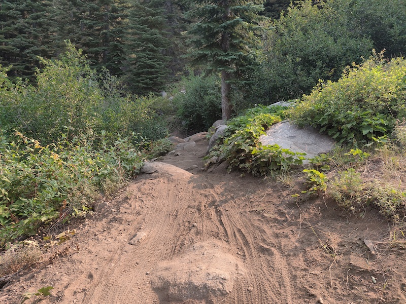 Mother Lode (Lower) Mountain Biking Trail - Truckee