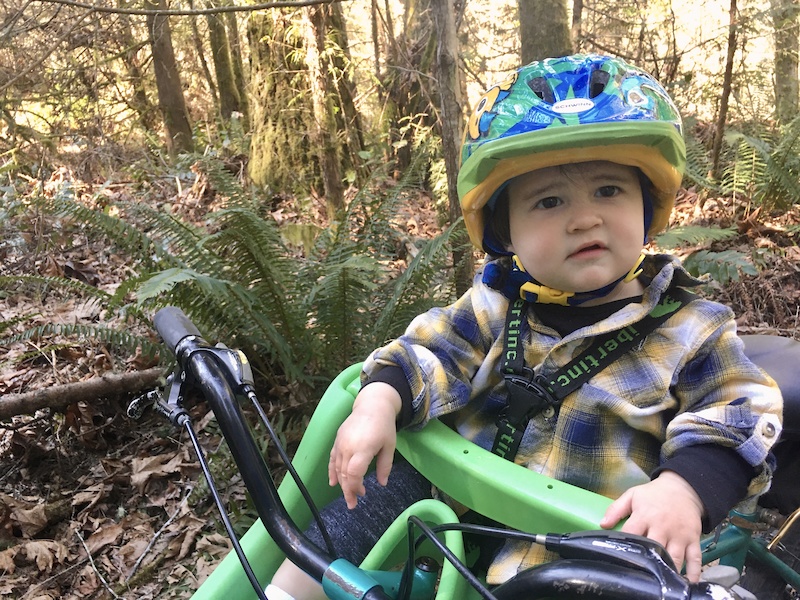 Twizzler Mountain Biking Trail Gig Harbor, Washington