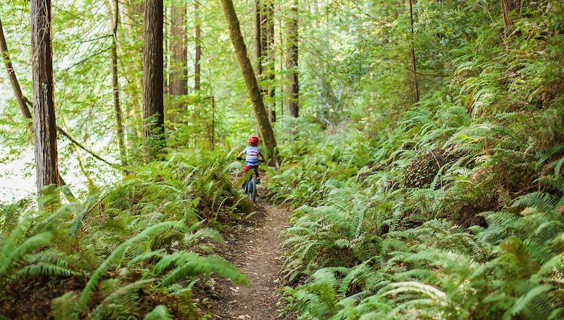 Edt Distance Map Mendocino big loop Mountain Biking Route | Trailforks
