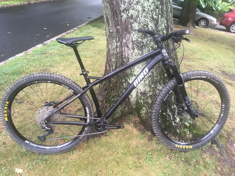 bird zero 29 frame