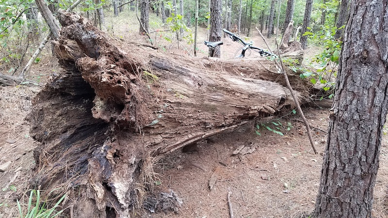 Flying Squirrel Mountain Biking Trail - Helena, Alabama