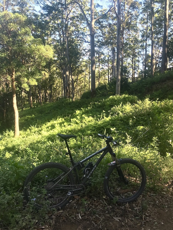 Light Line Road Multi Trail - Brisbane | Trailforks