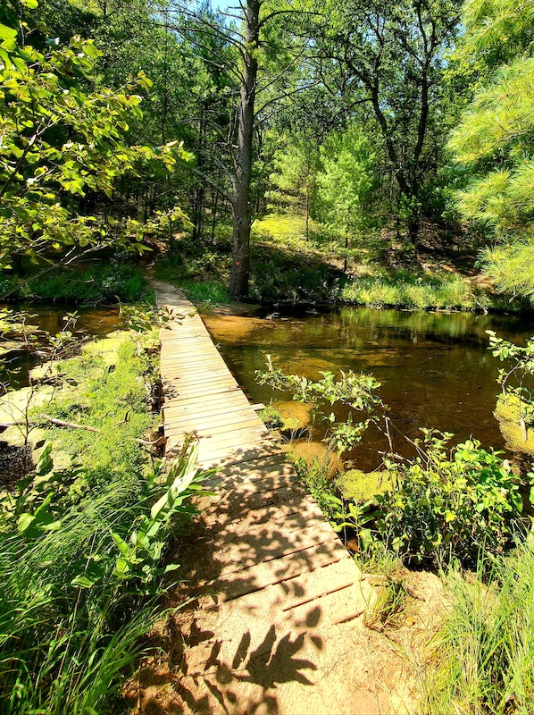 Swan Island Mountain Biking Trail Whitehall, Michigan