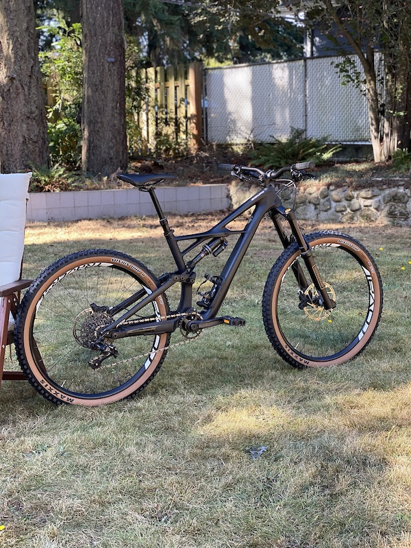 specialized enduro elite 2019