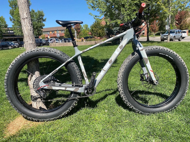 2019 specialized fatboy comp carbon