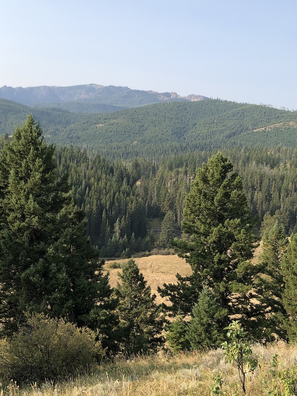 Goose Creek Road Multi Trail Bozeman, Montana