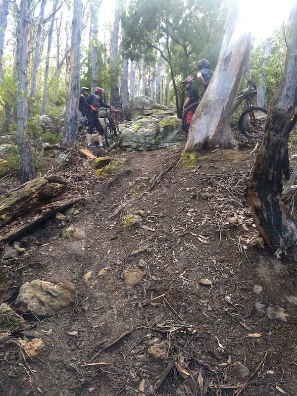 Cornish Mountain Biking Trail Hobart Trailforks