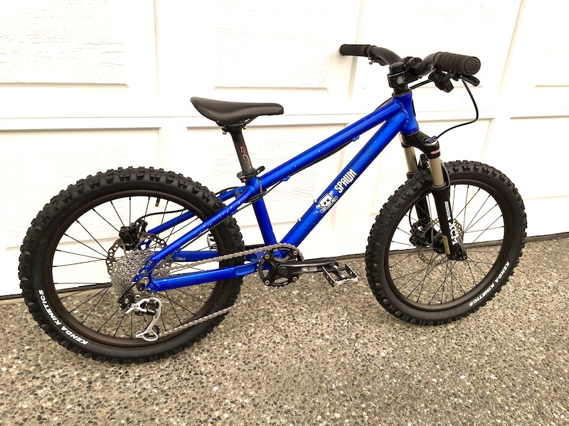 spawn bikes 16