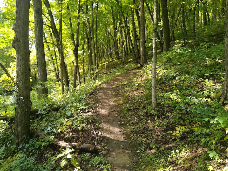 Blue mound state discount park mountain biking