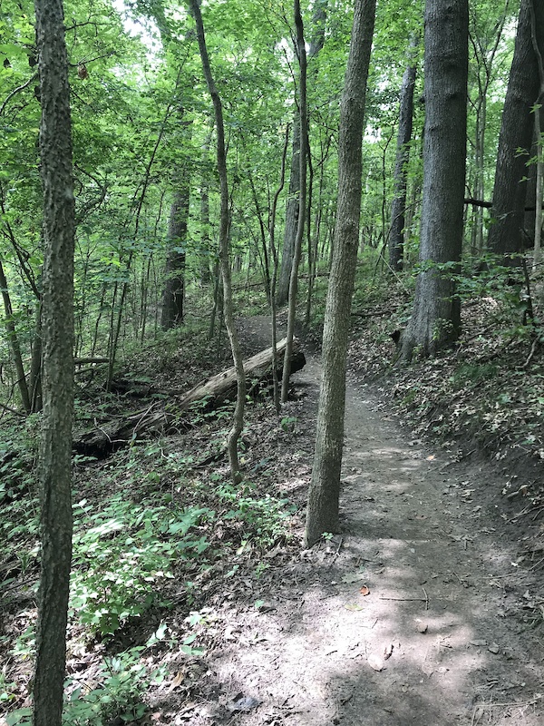 heritage park mountain bike trail