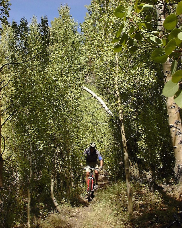 McCloud Camp Road Multi Trail CA Trailforks