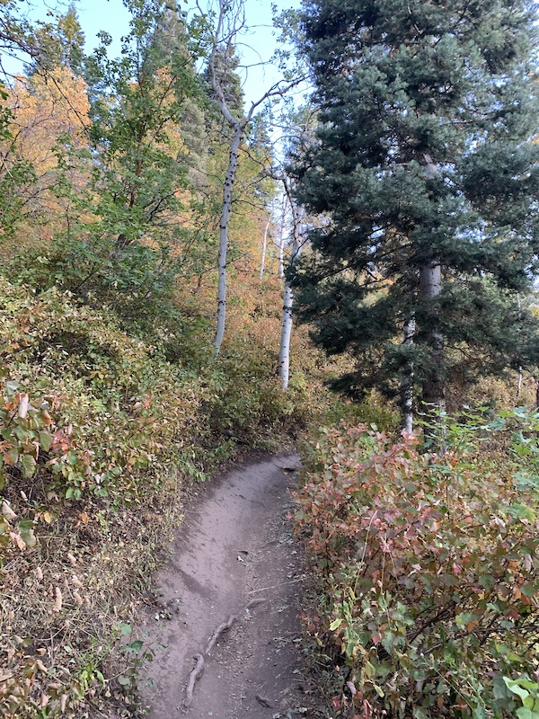 Mueller Park Mountain Biking Trail - North Salt Lake