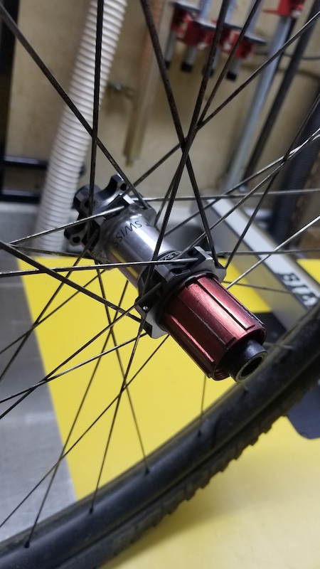 dt swiss carbon 29er wheels