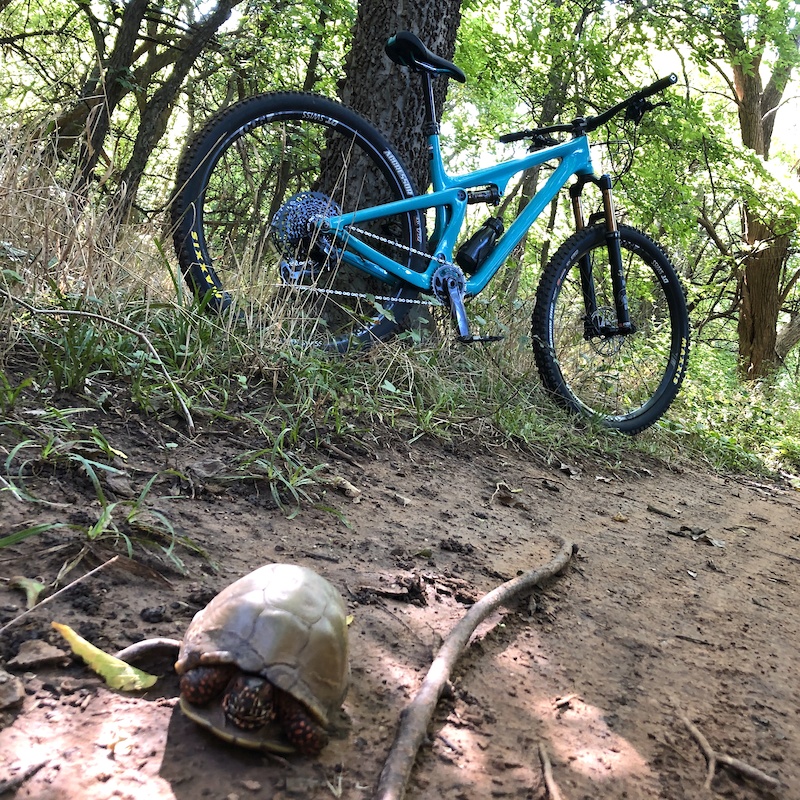 Lake Draper Trail Multi Trail Oklahoma City, OK