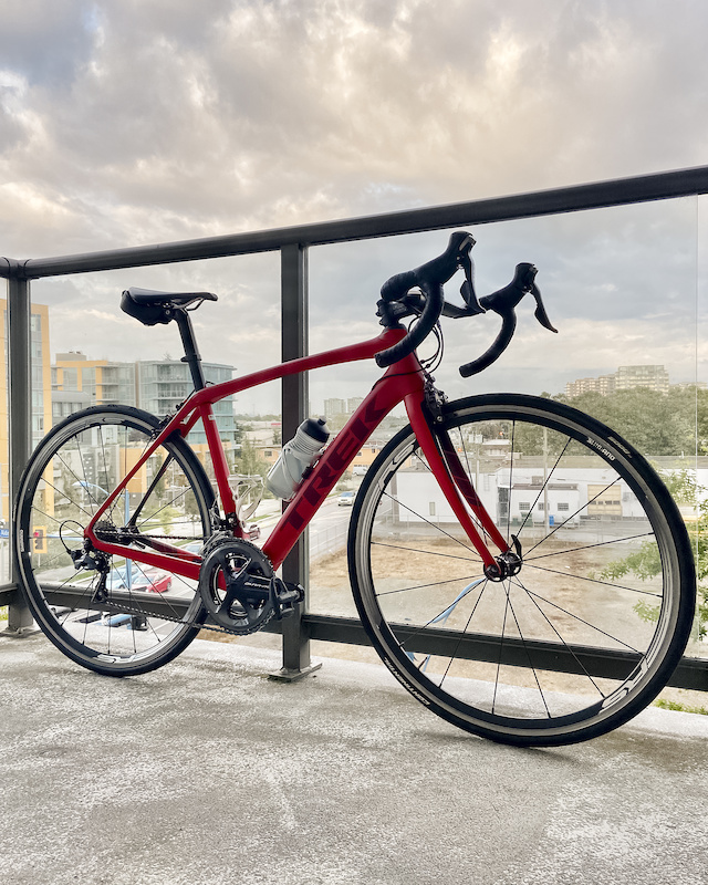 trek domane sl6 for sale