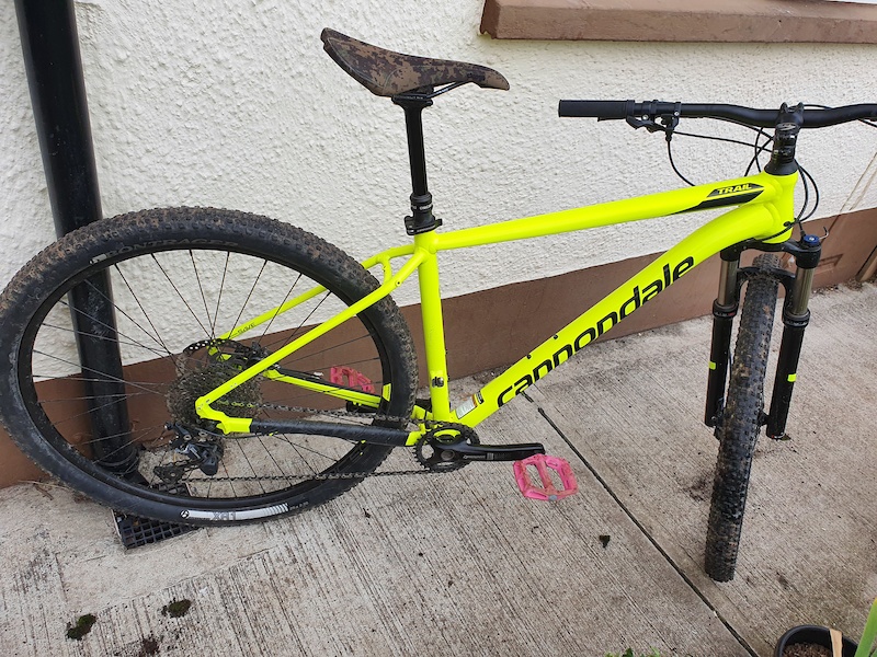 2019 cannondale trail 4