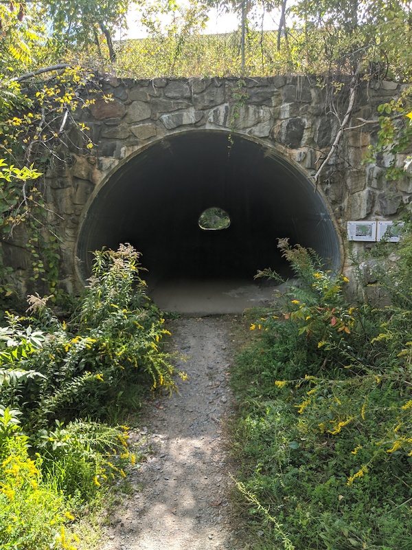 Tunnel Down Mountain Biking Trail Exeter, New Hampshire