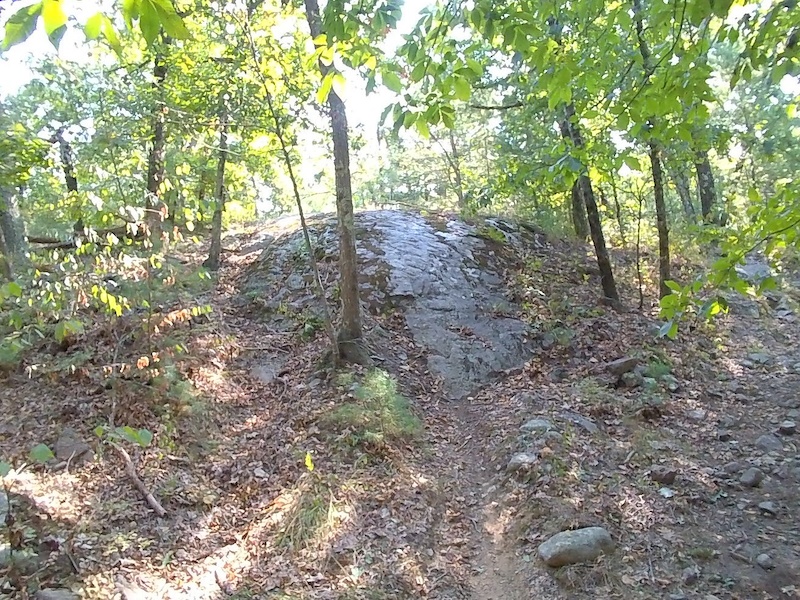 Wrentham State Forest & Conservation Lands Mountain Biking Trails ...