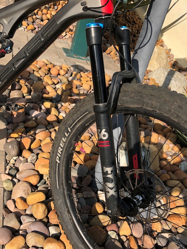 intense recluse carbon