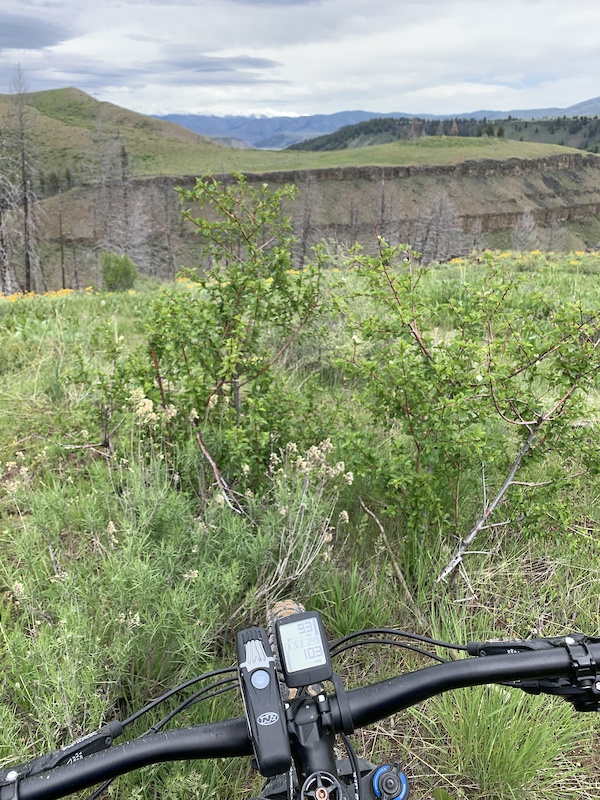 2018 specialized levo carbon comp