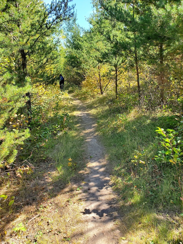 Foresters Footsteps Self-guiding/Mountain Bike Trail Mountain Biking ...