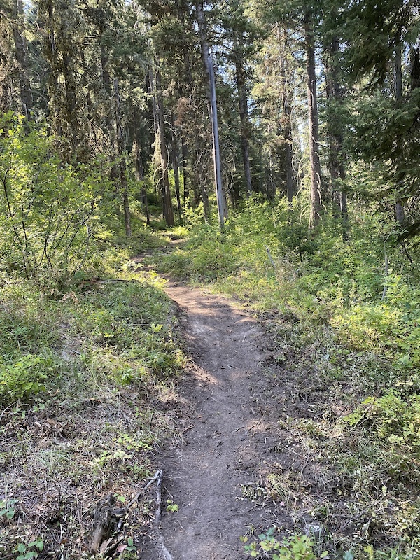 Upper Tie Canyon Mountain Biking Trail - Victor, Idaho