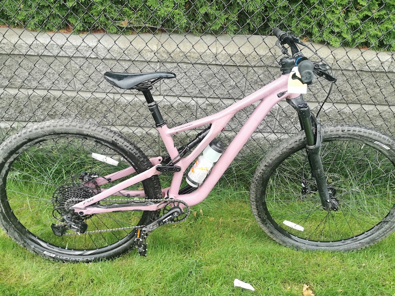2020 Stumpjumper ST Alloy 29 - Dusty 