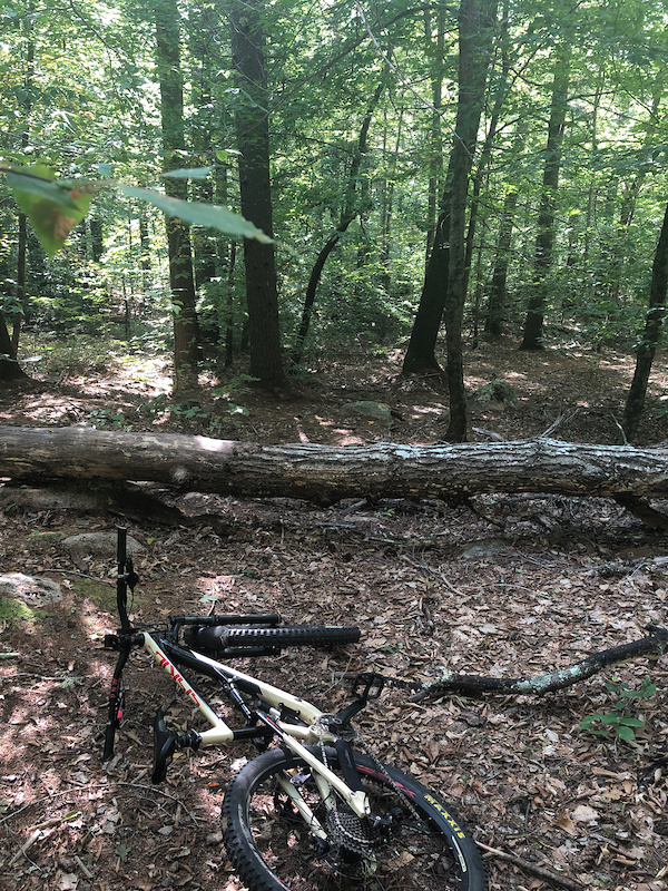 Secret Trail Mountain Biking Trail Exeter, Rhode Island