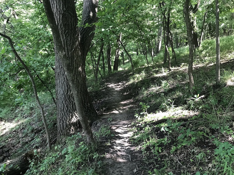 Jewell Park Mountain Biking Trails Trailforks