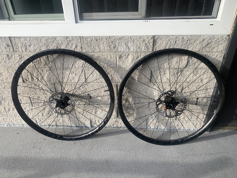 bontrager kovee pro 29