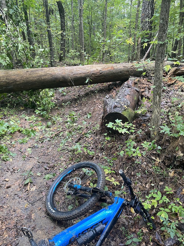 santa cruz chameleon xc