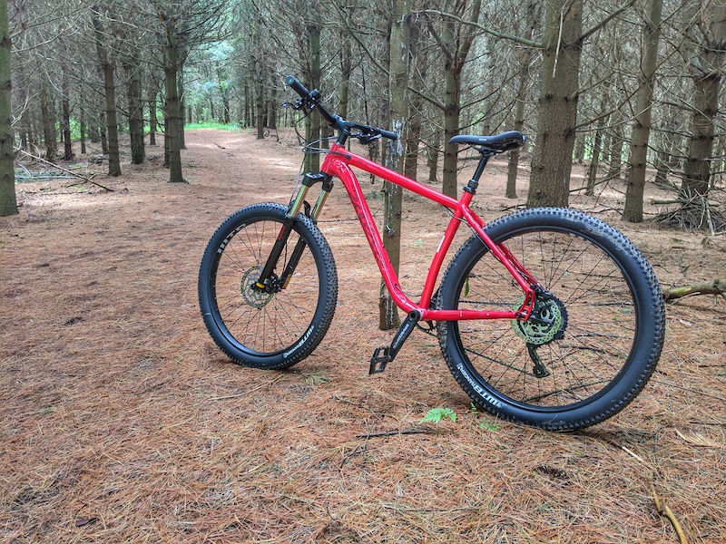 salsa timberjack frame 2021